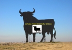 Bases Diploma TOROS DE ESPANA (DTE)